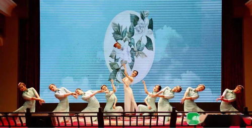 汕头市文化文艺志愿服务活动在老妈宫戏台举行